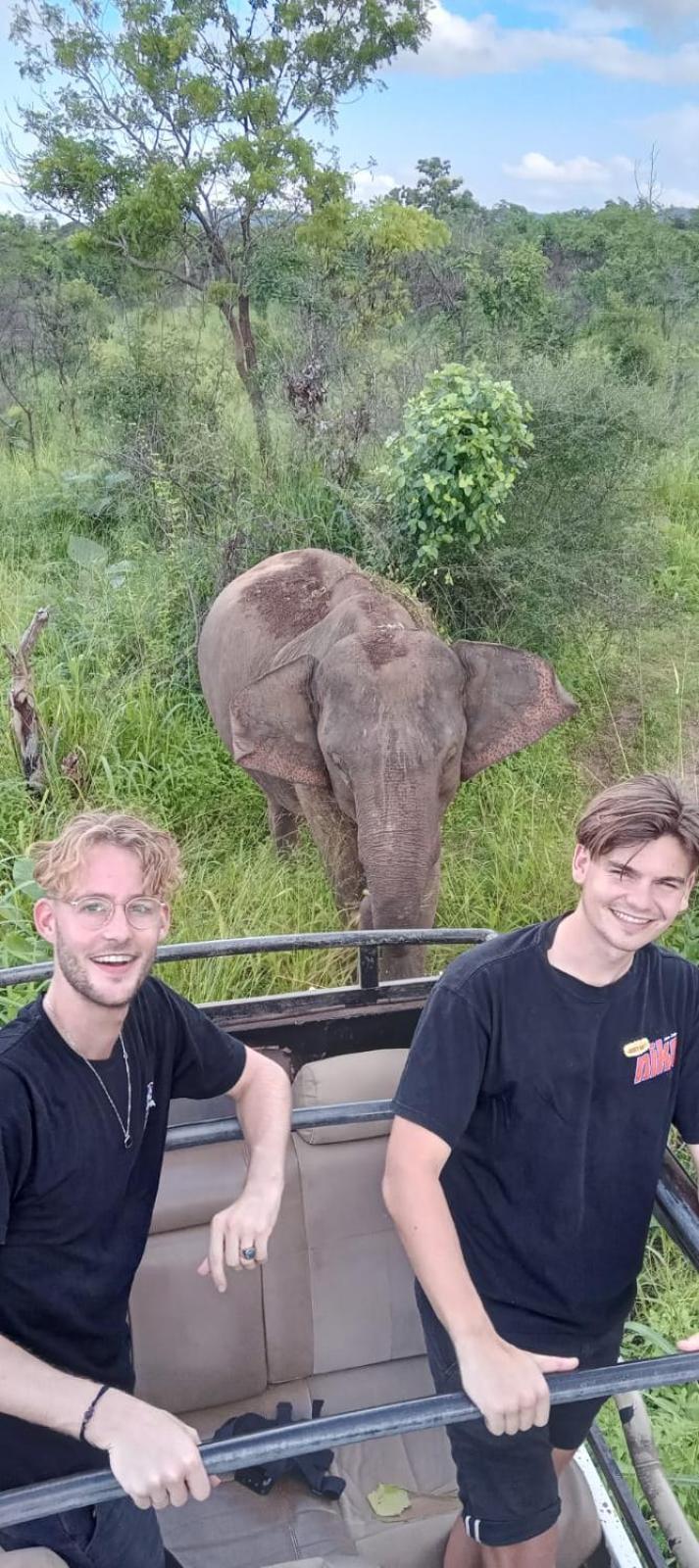 Elephant Safari Lodge Sigiriya Junction Habarana Ngoại thất bức ảnh