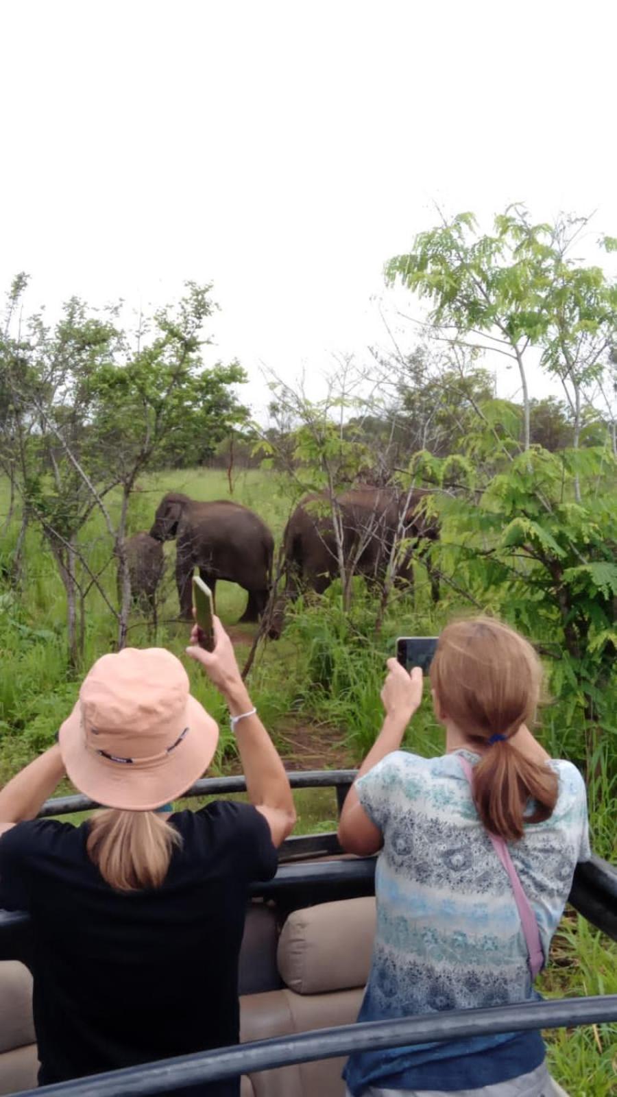 Elephant Safari Lodge Sigiriya Junction Habarana Ngoại thất bức ảnh
