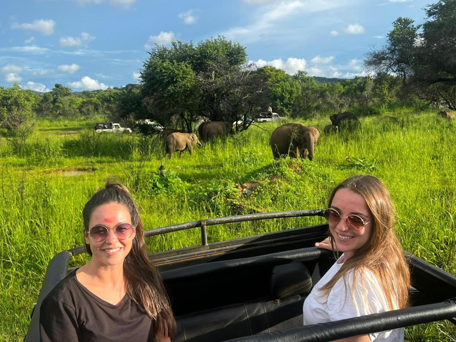 Elephant Safari Lodge Sigiriya Junction Habarana Ngoại thất bức ảnh