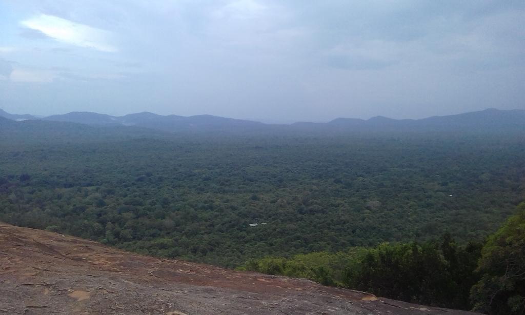 Elephant Safari Lodge Sigiriya Junction Habarana Ngoại thất bức ảnh