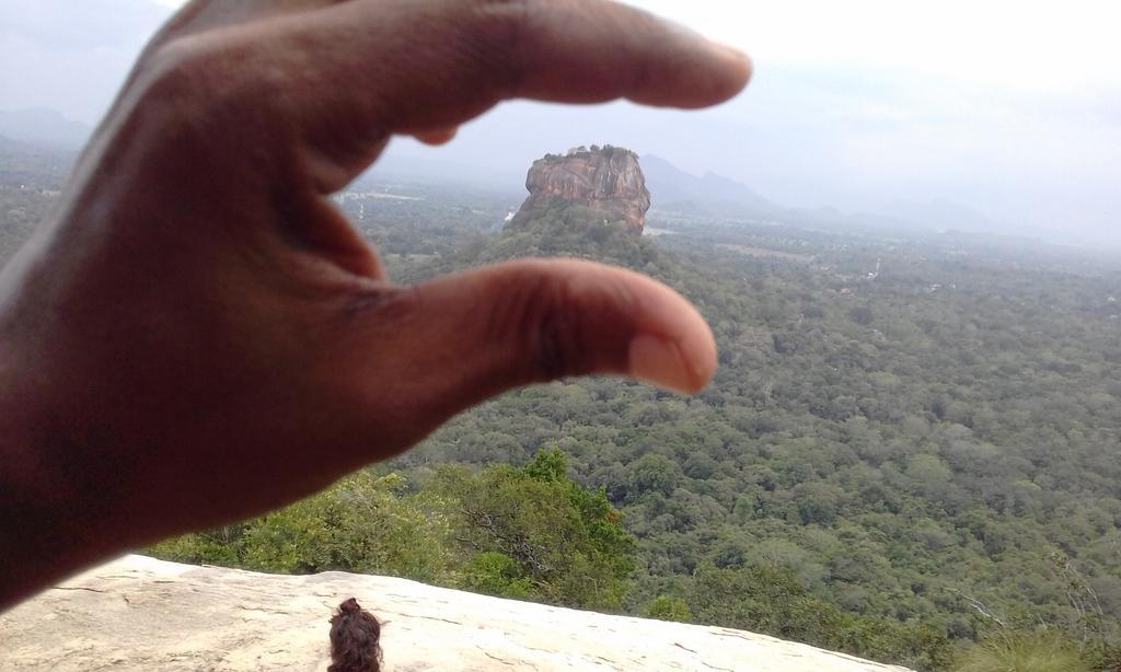 Elephant Safari Lodge Sigiriya Junction Habarana Ngoại thất bức ảnh